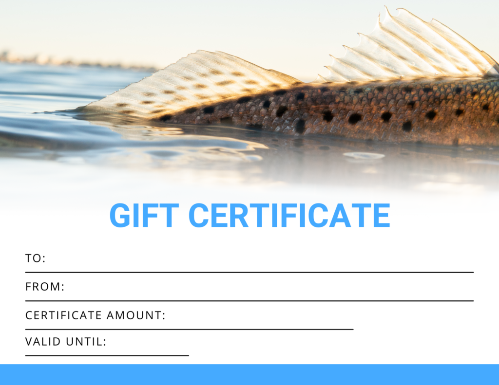 Aqua Traction Gift Card 1